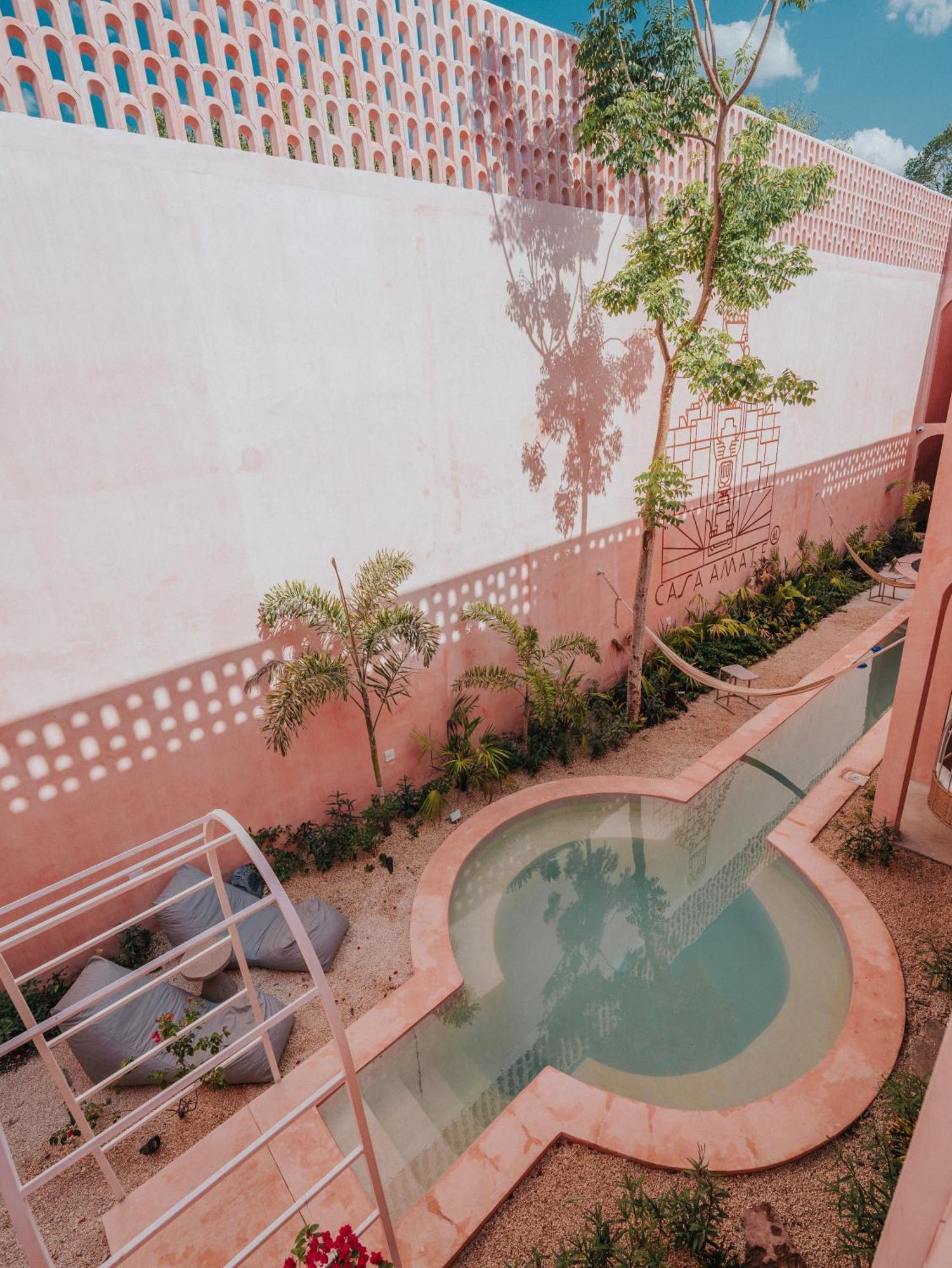 Casa Amate 61 Boutique Hostel Merida Exterior photo